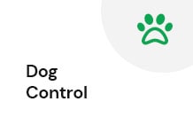dog-control-min.jpg